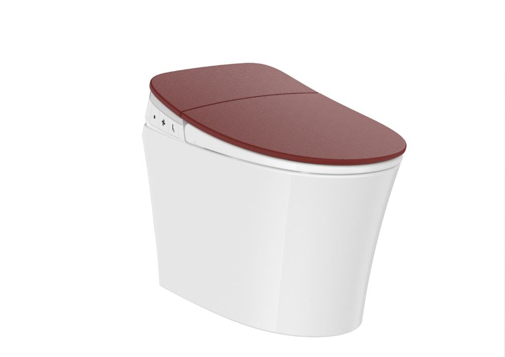 Smart WC's In-Wash Khroma 酷玛 A8030K2F3N Roca