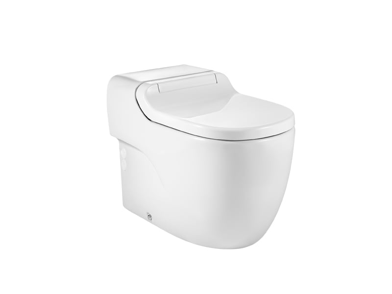 Smart WC's White Meridian A811351800 Roca