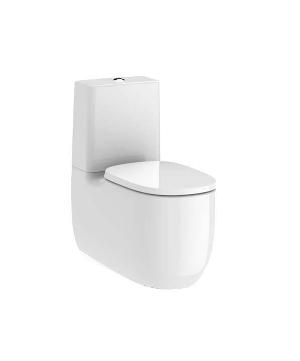 Back to wall vitreous china close-coupled Rimless WC with dual outlet