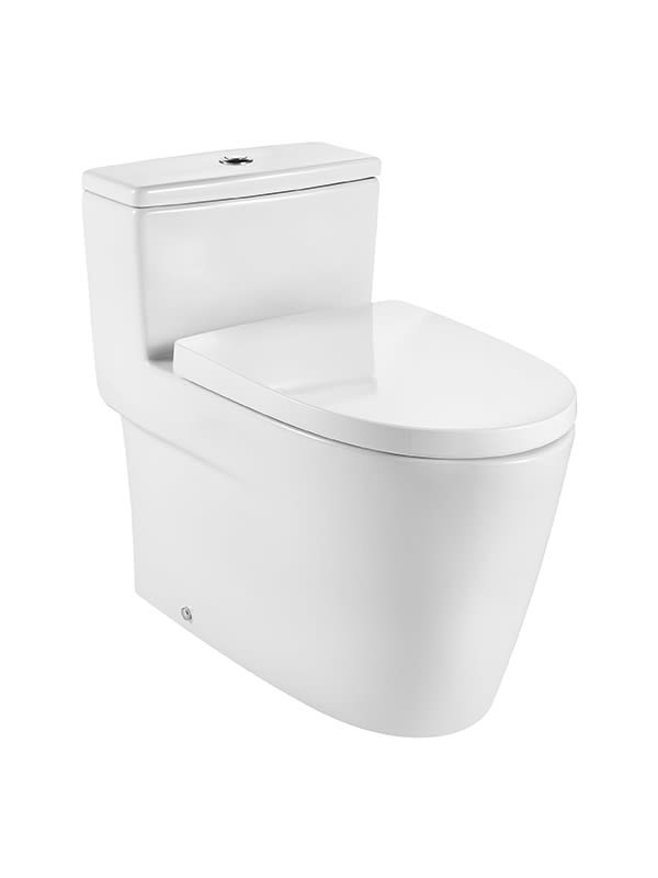 One Piece Wc With Vertical Outlet S Trap 305 Mm Roca China