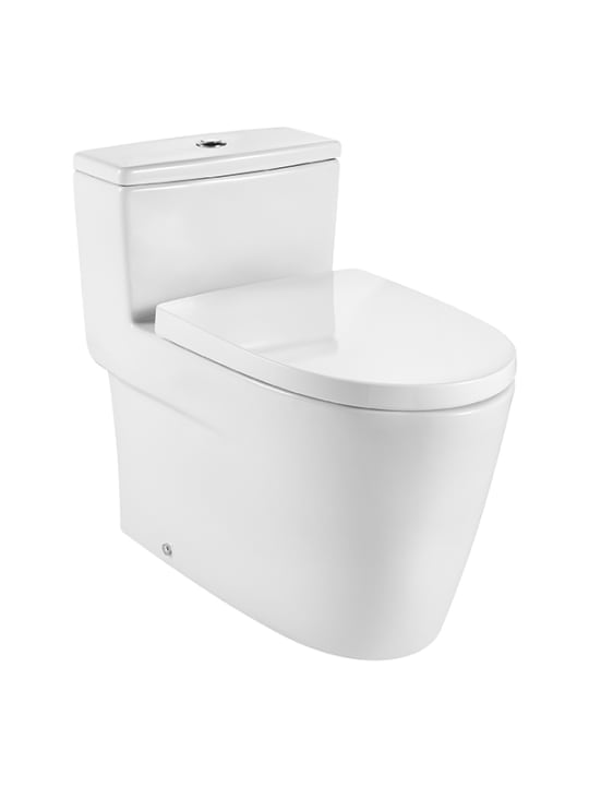 One piece WC with vertical outlet. S-Trap 305 mm