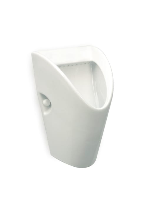 Vitreous china urinal with back inlet