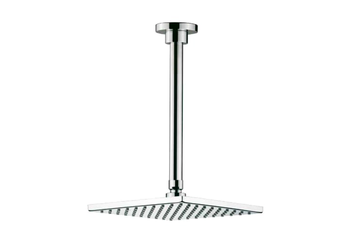Shower head with ceiling mounted shower arm